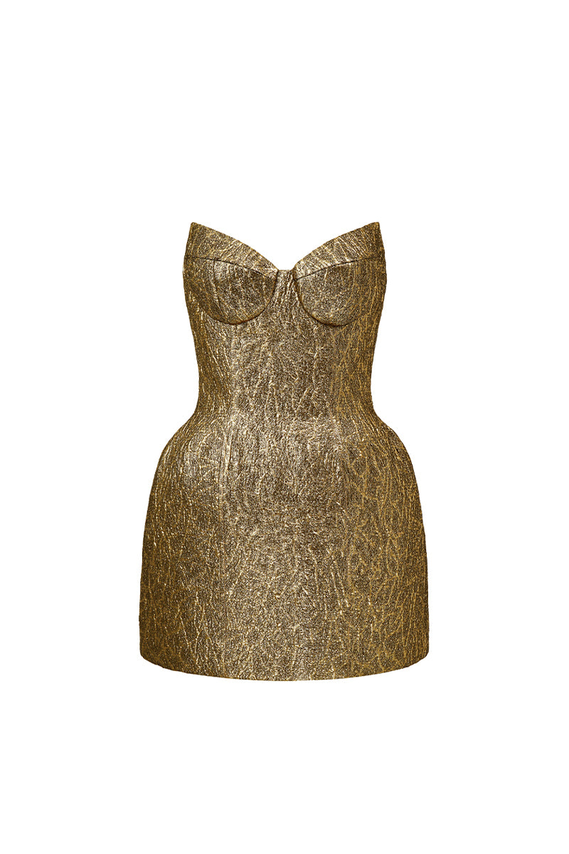 Ziven Bodycon Mini Dress