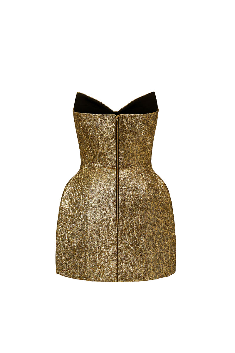 Ziven Bodycon Mini Dress